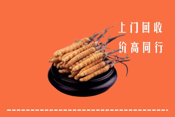 收购行情：临汾市吉县回收散虫草