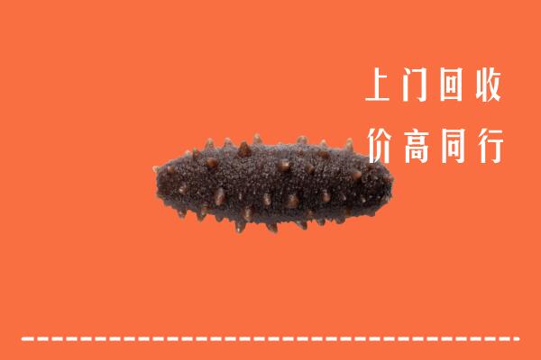 临汾市吉县回收海参