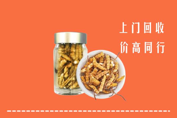 临汾市吉县回收冬虫夏草