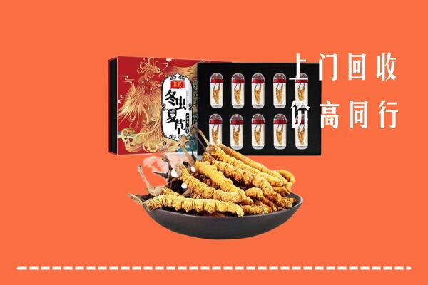 临汾市吉县回收虫草